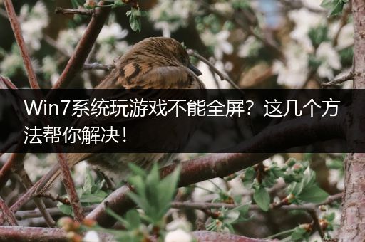Win7系统玩游戏不能全屏？这几个方法帮你解决！