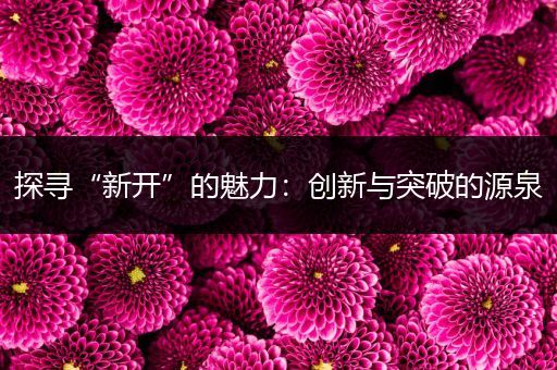 探寻“新开”的魅力：创新与突破的源泉