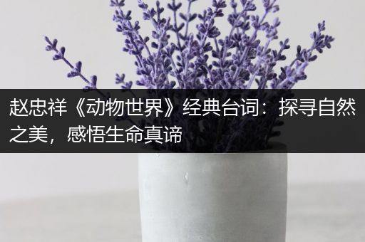 赵忠祥《动物世界》经典台词：探寻自然之美，感悟生命真谛