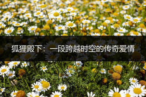 狐狸殿下：一段跨越时空的传奇爱情