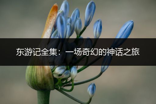 东游记全集：一场奇幻的神话之旅