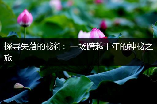 探寻失落的秘符：一场跨越千年的神秘之旅