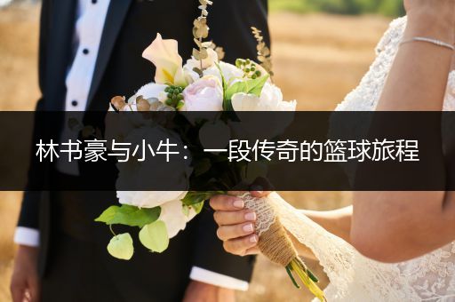 林书豪与小牛：一段传奇的篮球旅程