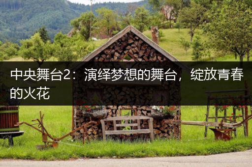 中央舞台2：演绎梦想的舞台，绽放青春的火花