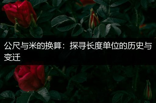 公尺与米的换算：探寻长度单位的历史与变迁