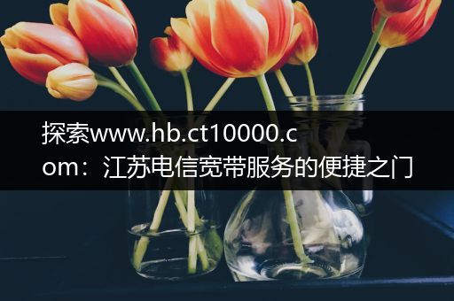 探索www.hb.ct10000.com：江苏电信宽带服务的便捷之门