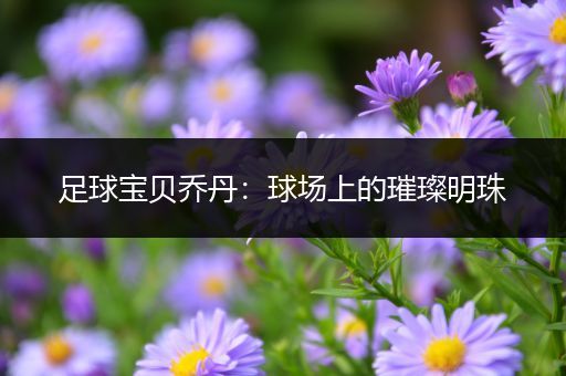 足球宝贝乔丹：球场上的璀璨明珠