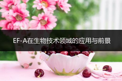 EF-A在生物技术领域的应用与前景