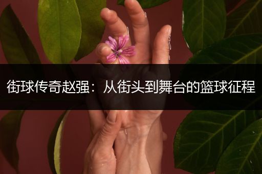 街球传奇赵强：从街头到舞台的篮球征程