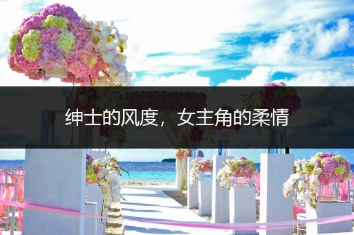 绅士的风度，女主角的柔情