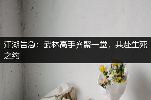 江湖告急：武林高手齐聚一堂，共赴生死之约