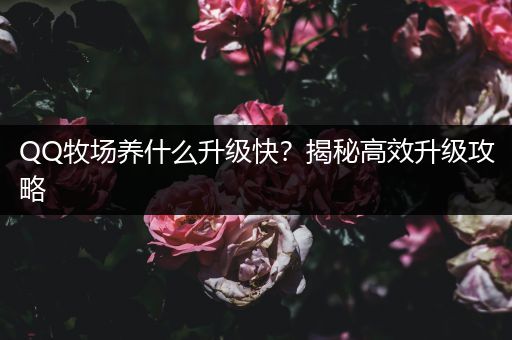 QQ牧场养什么升级快？揭秘高效升级攻略