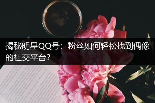 揭秘明星QQ号：粉丝如何轻松找到偶像的社交平台？