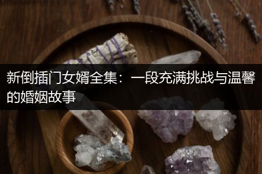 新倒插门女婿全集：一段充满挑战与温馨的婚姻故事