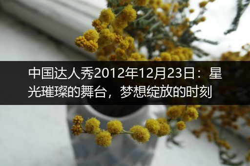 中国达人秀2012年12月23日：星光璀璨的舞台，梦想绽放的时刻