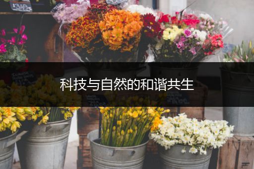 科技与自然的和谐共生