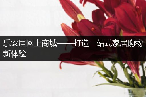 乐安居网上商城——打造一站式家居购物新体验