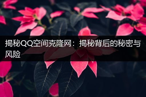 揭秘QQ空间克隆网：揭秘背后的秘密与风险
