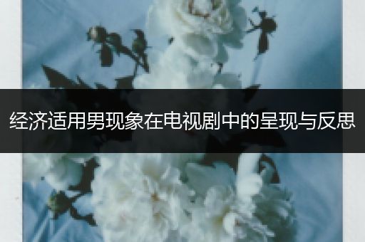 经济适用男现象在电视剧中的呈现与反思