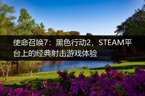 使命召唤7：黑色行动2，STEAM平台上的经典射击游戏体验
