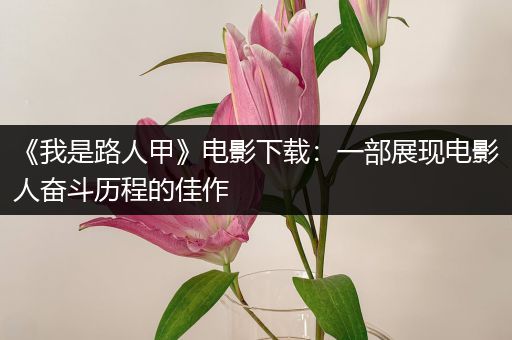 《我是路人甲》电影下载：一部展现电影人奋斗历程的佳作