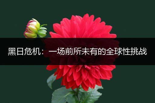 黑日危机：一场前所未有的全球性挑战