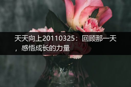 天天向上20110325：回顾那一天，感悟成长的力量