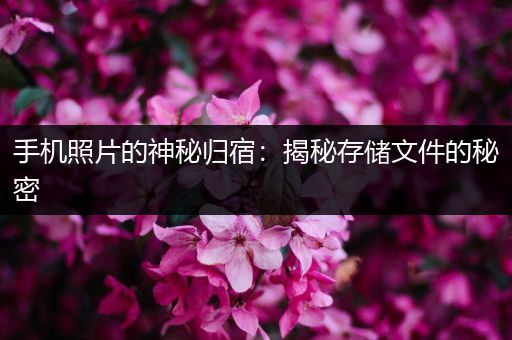 手机照片的神秘归宿：揭秘存储文件的秘密