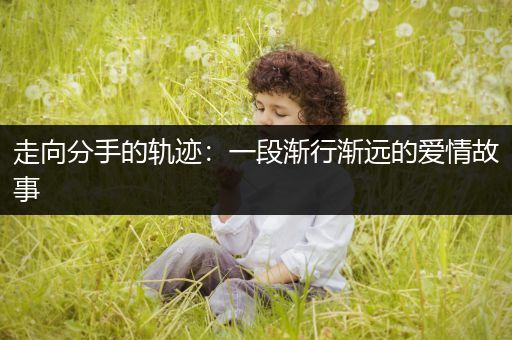 走向分手的轨迹：一段渐行渐远的爱情故事