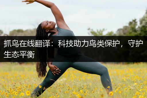 抓鸟在线翻译：科技助力鸟类保护，守护生态平衡