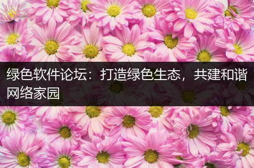 绿色软件论坛：打造绿色生态，共建和谐网络家园