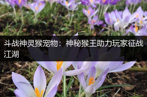 斗战神灵猴宠物：神秘猴王助力玩家征战江湖