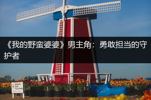 《我的野蛮婆婆》男主角：勇敢担当的守护者