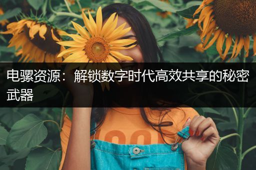电骡资源：解锁数字时代高效共享的秘密武器