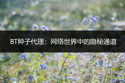 BT种子代理：网络世界中的隐秘通道