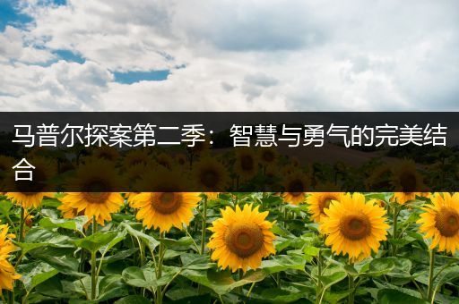 马普尔探案第二季：智慧与勇气的完美结合