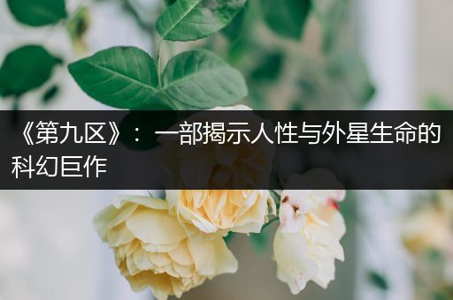 《第九区》：一部揭示人性与外星生命的科幻巨作