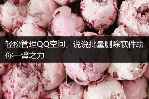 轻松管理QQ空间，说说批量删除软件助你一臂之力