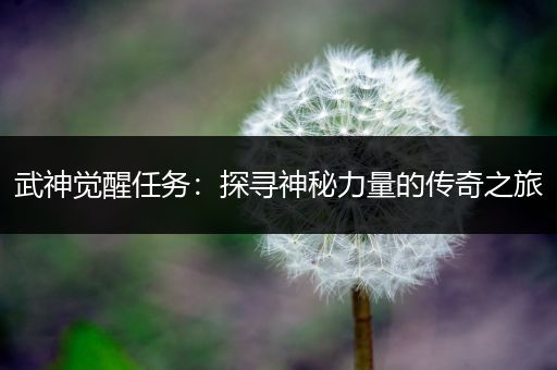 武神觉醒任务：探寻神秘力量的传奇之旅