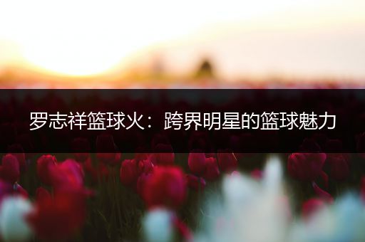 罗志祥篮球火：跨界明星的篮球魅力