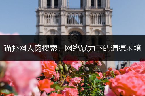 猫扑网人肉搜索：网络暴力下的道德困境