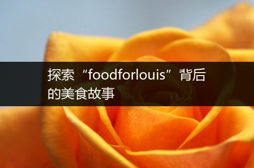探索“foodforlouis”背后的美食故事