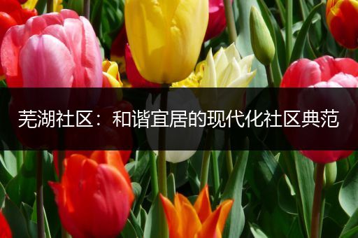 芜湖社区：和谐宜居的现代化社区典范