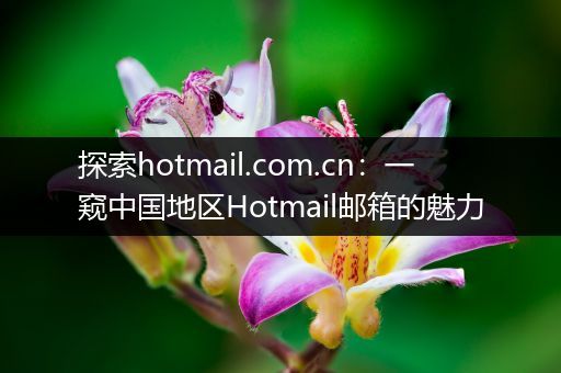 探索hotmail.com.cn：一窥中国地区Hotmail邮箱的魅力