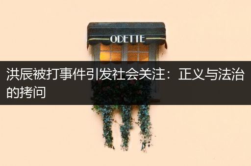 洪辰被打事件引发社会关注：正义与法治的拷问