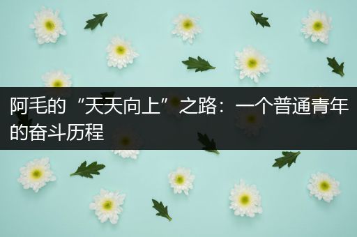 阿毛的“天天向上”之路：一个普通青年的奋斗历程