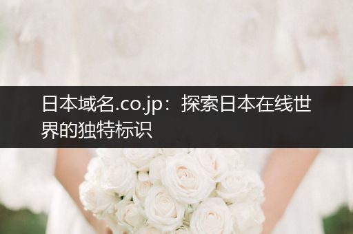 日本域名.co.jp：探索日本在线世界的独特标识