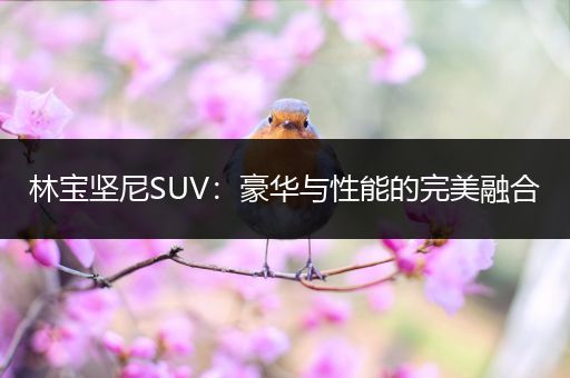林宝坚尼SUV：豪华与性能的完美融合