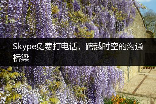 Skype免费打电话，跨越时空的沟通桥梁
