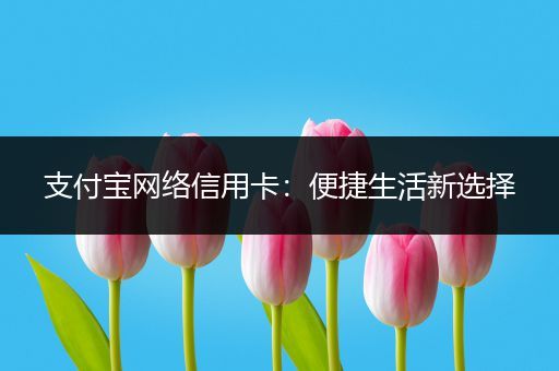支付宝网络信用卡：便捷生活新选择